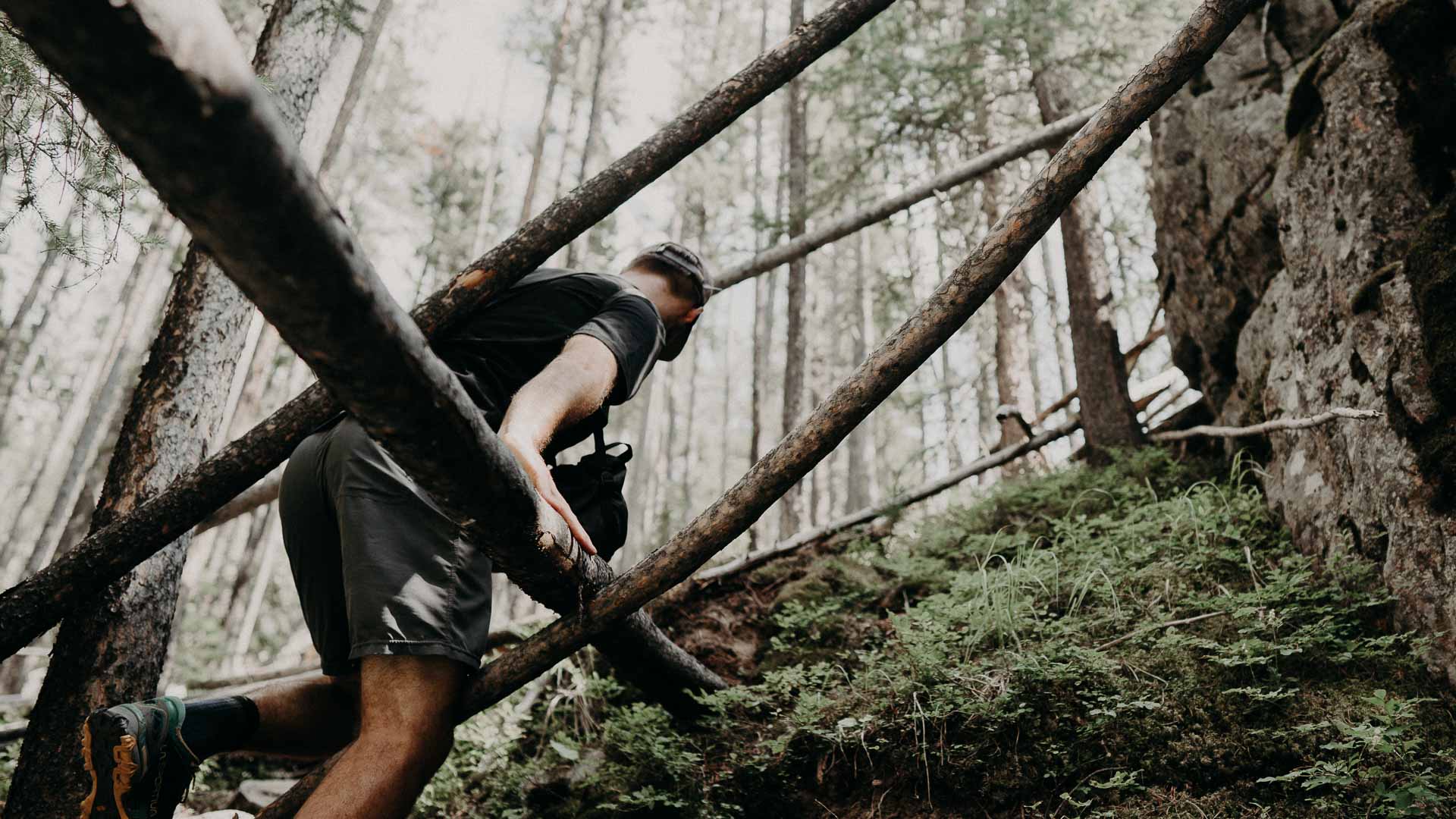 What are the best Tee Shirts made of? | A Brief Defense for Cotton